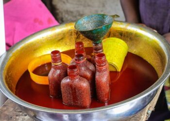 Dr. Eric Tutu Tchao: Food and digital transformation