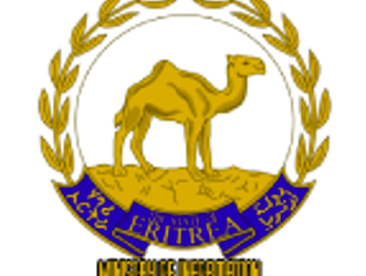 Eritrea: Successful heart operation on children