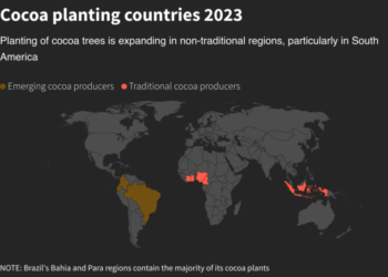 Farmers plant more cocoa outside Africa as prices rally
