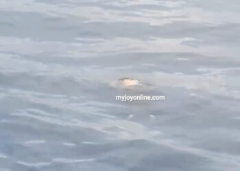 Lifeless male body discovered floating on Volta Lake at Asutuare 