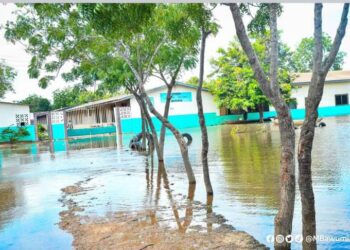 Long-term solution to Akosombo Dam spillage is key – Dr Bawumia 
