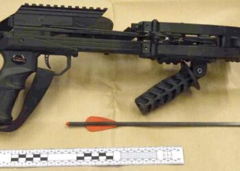 Man who took crossbow to ‘kill Queen’ Elizabeth II jailed