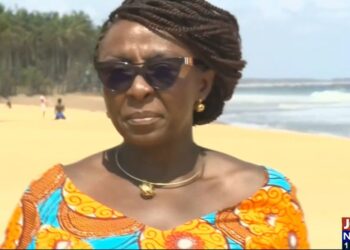 NADMo has collapsed, unable to provide relief for victims of tidal waves – Dzifa Gomashie