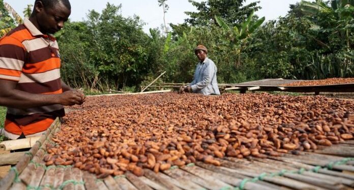 new cocoa price stop comparing ghana to cote divoire cost of living different gawu gen secretary