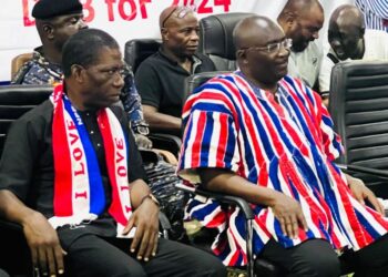 NPP delegates in Sunyani East endorse Bawumia