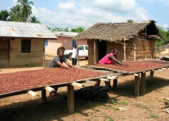 Ofori-Atta has nothing to offer cocoa farmers – President of Cocoa Farmers Assoc.