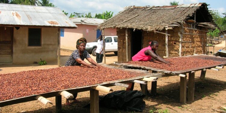 ofori atta has nothing to offer cocoa farmers president of cocoa farmers assoc