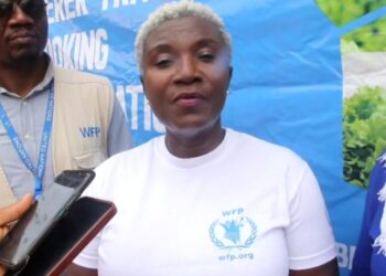 Over 40% of women of reproductive age suffer from iron deficiency anemia – GHS