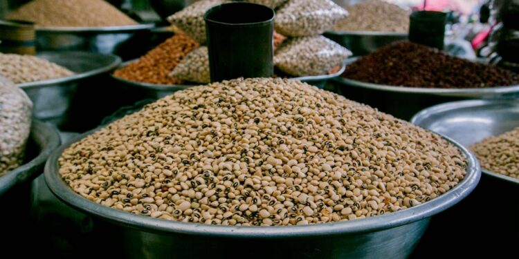 re the new colonialist food economy the context some africa seed sovereignty campaigners ignore