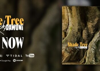 Shade Tree: Rocky Dawuni preaches unity in diversity