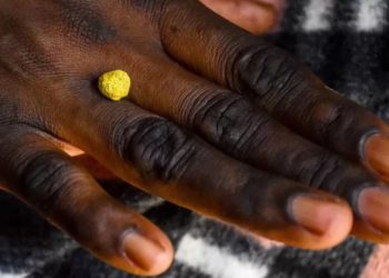 Six dead and 15 trapped in Zimbabwe gold mine collapse