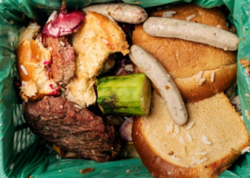 Stop losing and wasting food for a sustainable planet, people and climate