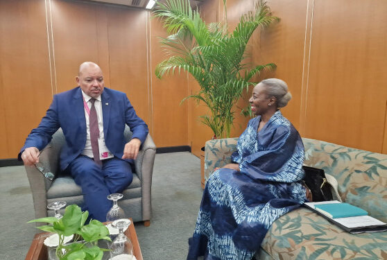 thrilla in manila womens financial inclusion is our fight of the decade if we are to meet the sustainable development goals and our own high 5s by 2030 by malado kaba