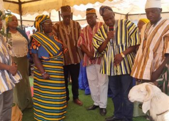 We are bent on setting pace for land management and administration – Nyankpala chief