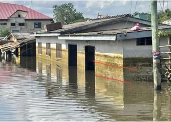 We need alternative housing for flood victims – Okudzeto Ablakwa