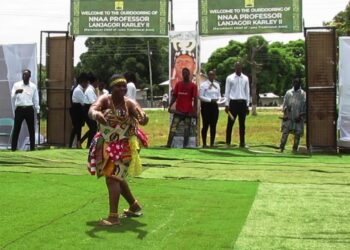 We need support from the other 4 Northern Regional Houses of Chiefs to remedy the Bawku crisis – Pe Ditundini Ayagitam