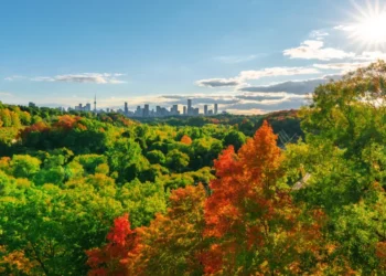 Why does Canada have three of the world’s most liveable cities?