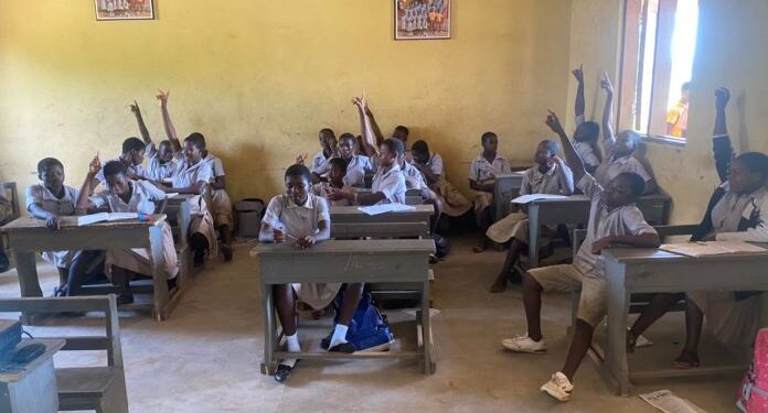 youth advocate sensitizes basic school pupils to sdgs