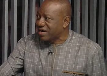 2024 budget failed to address illegal mining – Dr Pelpuo