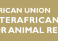 Advancing Food Safety in Africa: African Union – Interafrican Bureau for Animal Resources (AU-IBAR) convenes the 14th Pan African National Codex Contact Point Officers Meeting