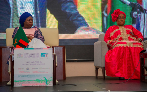 africa day for food and nutrition security zambian vice president underscores role of grey matter infrastructure development