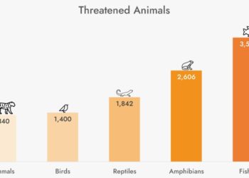 Analysis reveals alarming threats to animal species