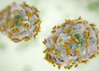 Antibiotic resistant germs found in nostrils of Ghanaian livestock farmers