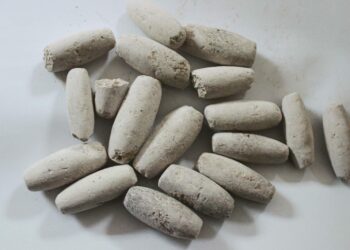 Ayilo: Lowers cholesterol, stops the growth of cancer cells