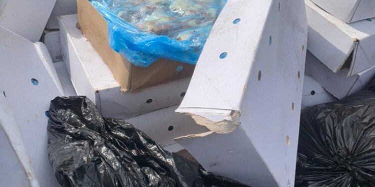 confiscated unwholesome products are safely disposed of fda