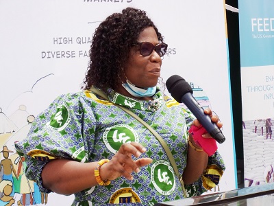 Farmers facing challenges due to climate change – Prof. Egyir 1 farmers facing challenges due to climate change prof egyir