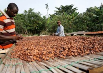 Food products constitute 23.9% of exports in half-year 2023 – Trade Report