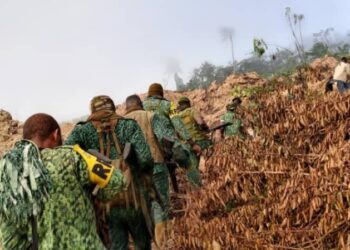 Forestry Commission arrests 10, burns 2 excavators in operation at Anwiaso East Forest Reserve