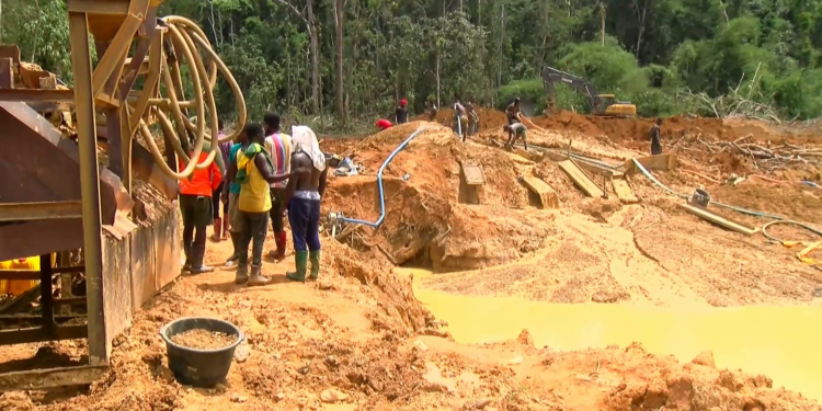 galamsey activities escalated under npp government sam george