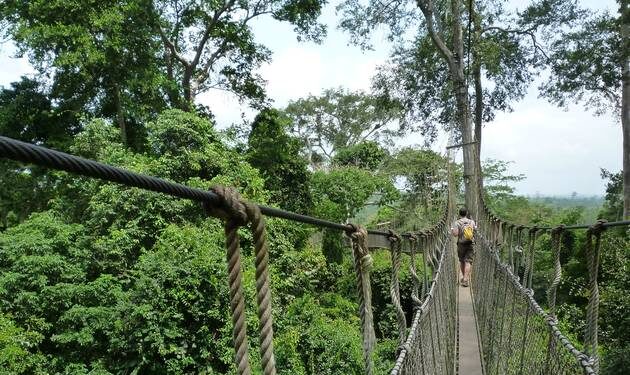 GIA calls for repeal of L.I. 2462 to save forest reserves 1 gia calls for repeal of l i 2462 to save forest reserves