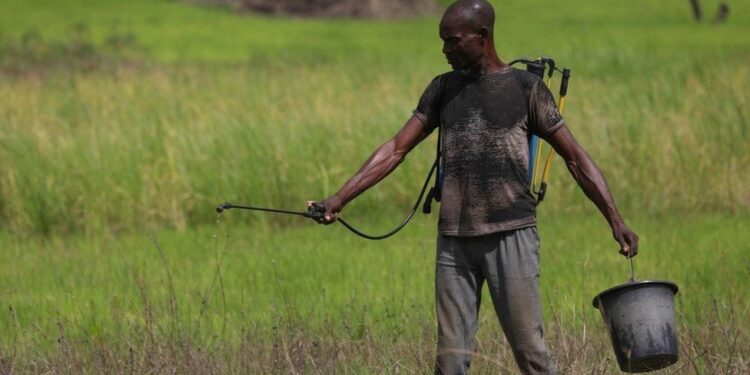 global decline in male fertility linked to pervasive pesticides study reveals