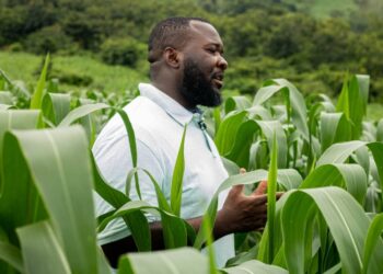 Ignitia introduces climate intelligence solutions for sustainable farming and climate adaptation in Ghana