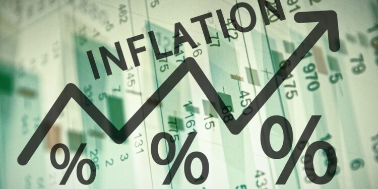 inflation in 2022 was highest in over 2 decades isser