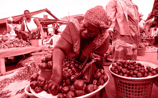 inflation slows to 35 2 here are 20 items that recorded price changes above 50 in october 2023