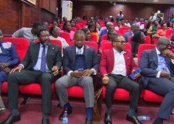 Law lecturer calls for supranational government for Africa