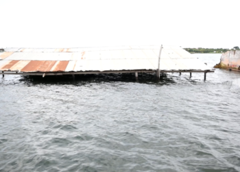 Lions International donates to flood victims in South Dayi