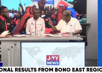 Livestream: Watch coverage of NPP primaries as counting continues
