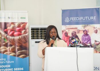 More efforts needed to improve farmer access to certified seeds – AGRA Ghana boss