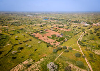 Senegal: African Development Bank agrees loan of nearly €87 million for Agropole Nord