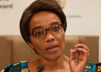 South Africa crime: Thieves put gun to Transport Minister Sindisiwe Chikunga’s head