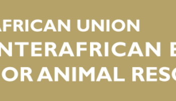 The African Union-InterAfrican Bureau for Animal Resources (AU-IBAR) High-Level Annual Coordination Online Meeting: Charting the Course for Animal Resources Development in Africa
