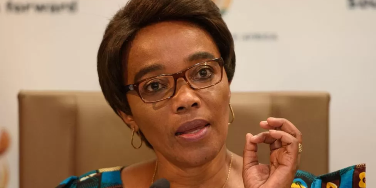 thieves put a gun to south africas transport ministers head