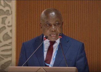 What is the Health Minister doing at the ministry? – Mintah-Akandoh fumes