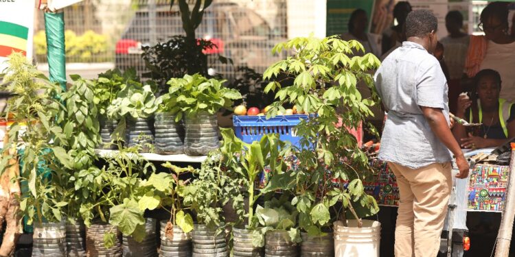 39th national farmers day celebration comes off today at tarkwa