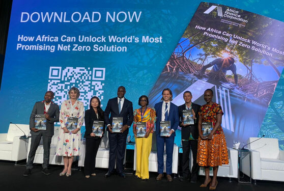 Africa Must Own Carbon Offsets Value Chain Amid Market Failures 1 africa must own carbon offsets value chain amid market failures