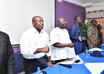 Bawumia will increase NPP’s votes in Volta and Oti regions – Kofi Dzamesi